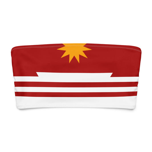 Cree Sun is Shining sakastew ᓴᑲᐢᑌᐤ bandeau bikini top