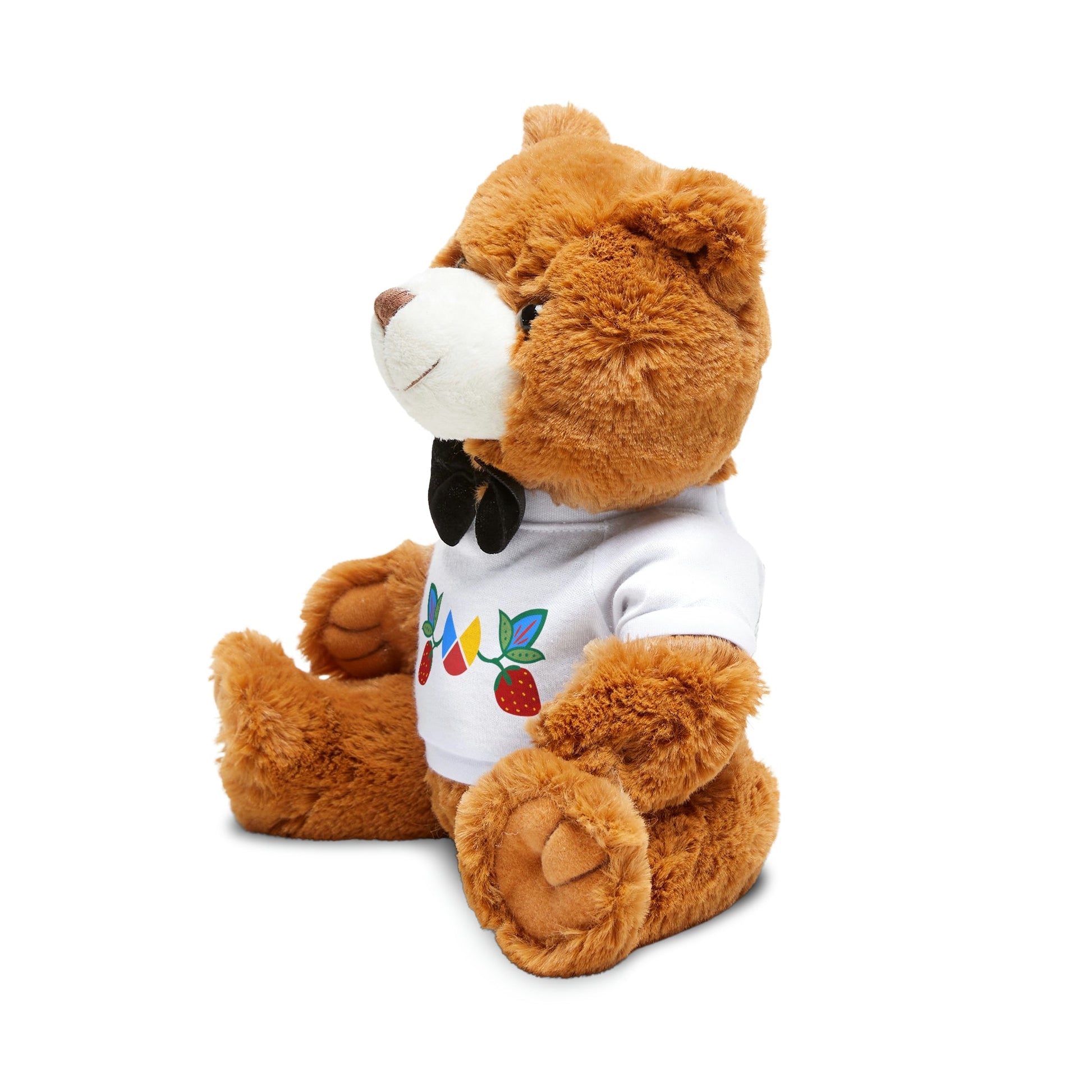Teddy Bear with T-Shirt - Nikikw Designs